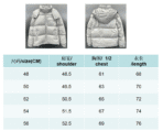 Prada Re-Nylon Hooded Down Jacket Beige - Image 2